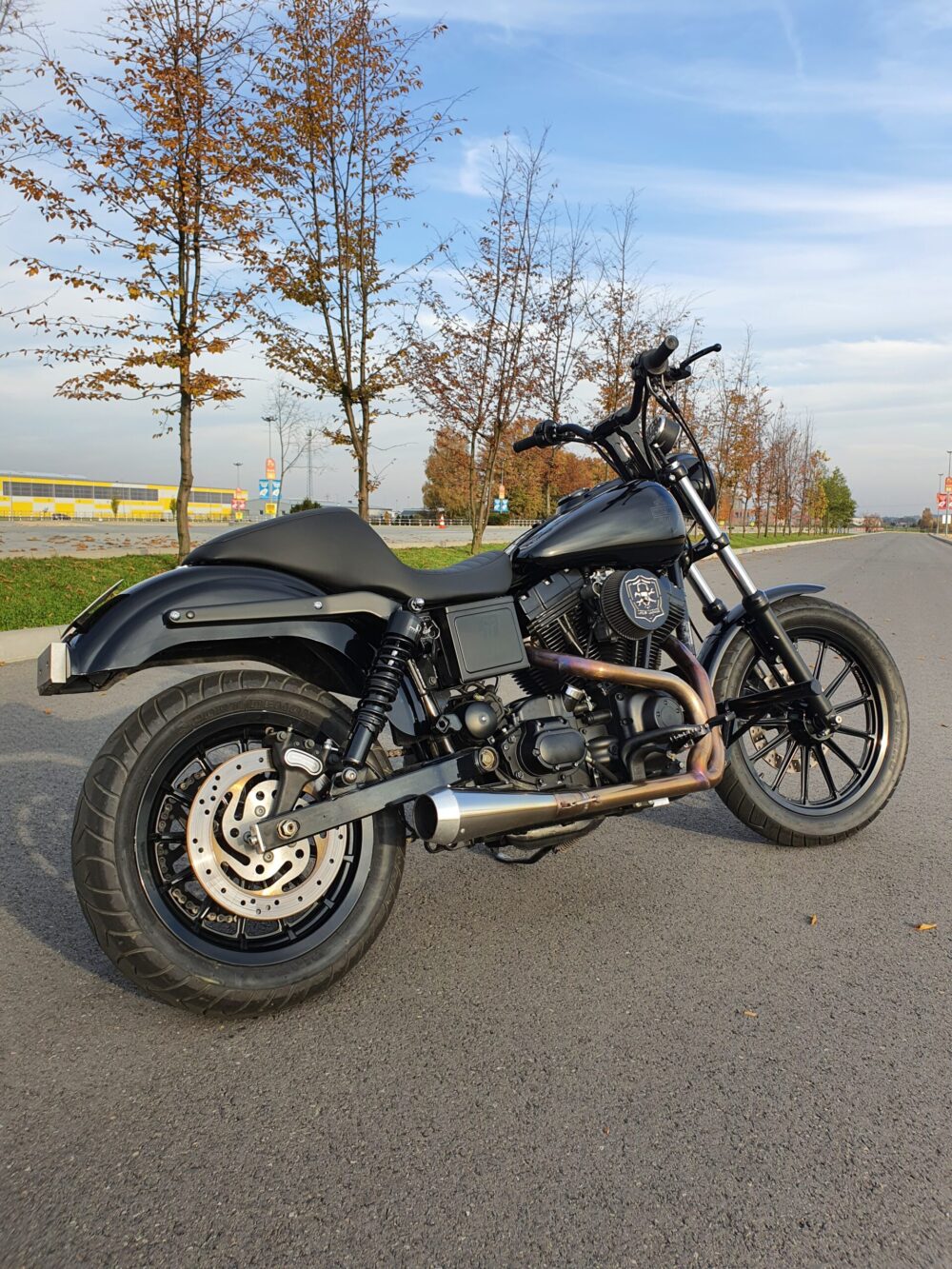 Straight Riser Harley Davidson