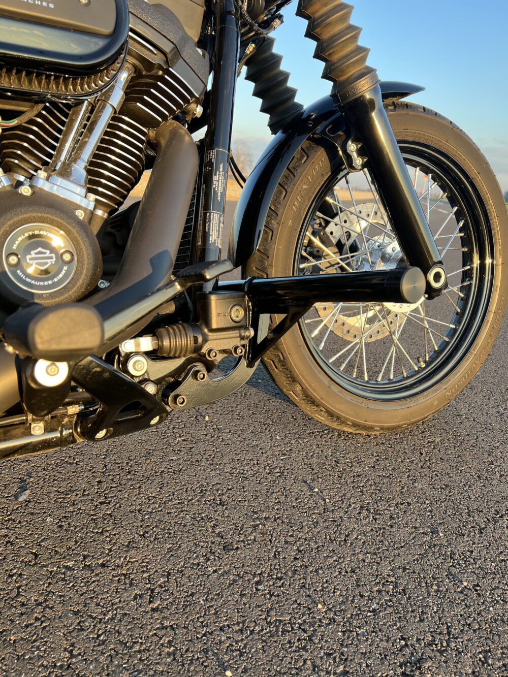 Crash Cage Harley Davidson Softail