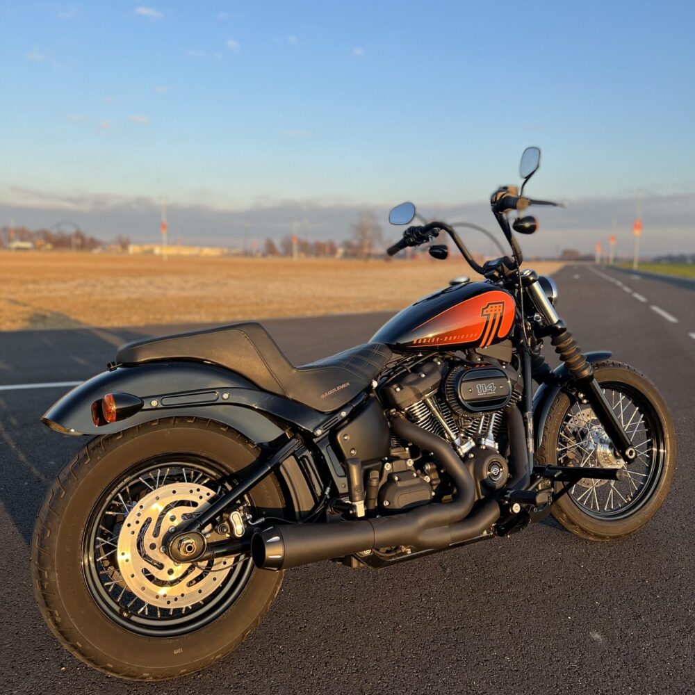 Crash Cage Harley Davidson Softail